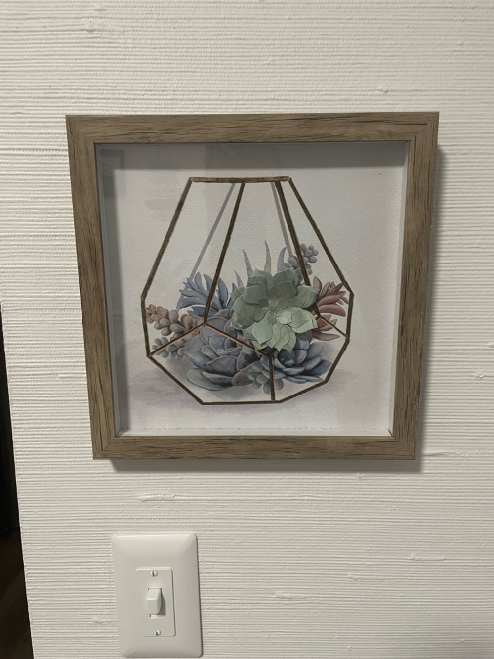 Succulent Terrarium Wall Art in Soft Green and Muted Purple - Framed